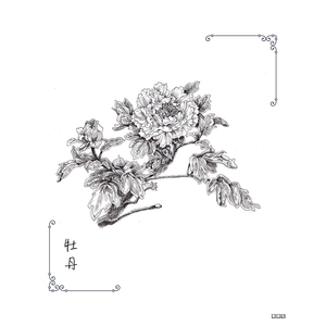 繁花绘/超精致的黑白手绘基础教程 黎莉等 正版书籍 新华书店旗舰店文轩官网 电子工业出版社