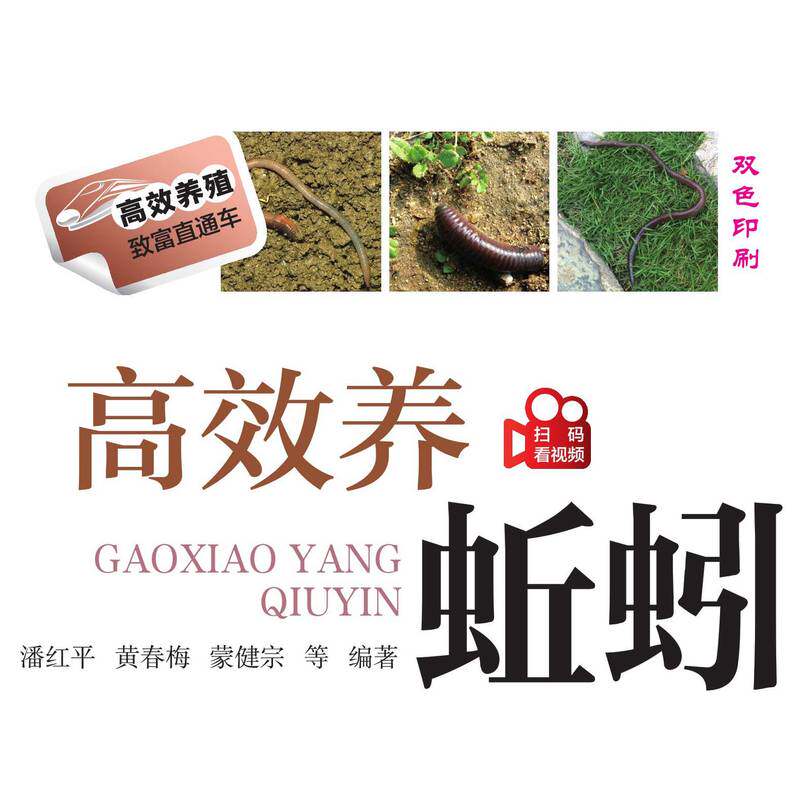 618同城网官网网页版如何高效购物？有哪些技巧和注意事项？