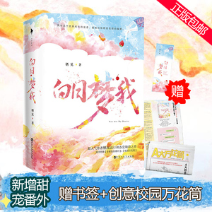 寄语印签版【专享飞机盒+记事簿+印签卡+万花筒】白日梦我小说正版 栖见玫瑰挞后晋江文学城校园青春言情小说畅销书排行榜书籍文轩