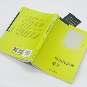 中国民法典精要 杨立新 北京大学出版社 正版书籍 新华书店旗舰店文轩官网