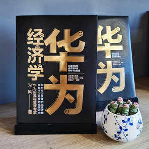 华为经济学 习风 中信出版社 正版书籍 新华书店旗舰店文轩官网