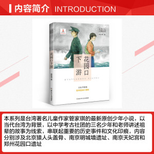 花园口下游/台湾少年寻根系列 少儿文学 正版书籍 新华书店旗舰店文轩官网 浙江少年儿童出版社