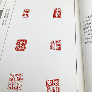 秦代印风 黄惇 正版书籍 新华书店旗舰店文轩官网 重庆出版社