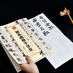 智永真草千字文 华夏万卷 编 正版书籍 新华书店旗舰店文轩官网 湖南美术出版社