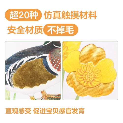 [Синьхуа Венксуан] Lele Fun Кролик Billy Touch Книга 4 тома от 0 до 3-летнего ребенка Ранняя ранняя рано