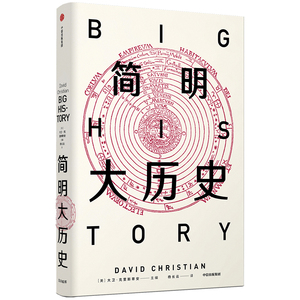 简明大历史/见识丛书33 历史知识普及读物 [美]大卫·克里斯蒂安 著 杨长云 译 新华书店官网正版图书籍