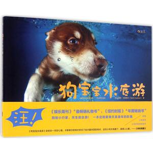 狗宝宝水底游 (美)赛斯·卡斯蒂尔(Seth Casteel) 著 正版书籍 新华书店旗舰店文轩官网 北京联合出版公司