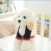 Dễ thương mô phỏng Teddy Dog Doll Gối Plush Toy Puppy Dog Doll Doll Gift Gift Girl - Đồ chơi mềm gấu bông chó mặt xệ Đồ chơi mềm