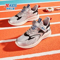 Серебряная/Черно-секретная сеть