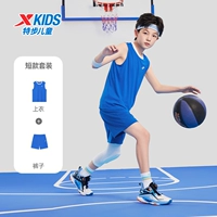 Королевский синий 9194