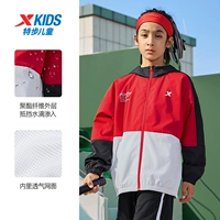 【Внутренняя сетевая ткань】 Сокровище бриллиант красный