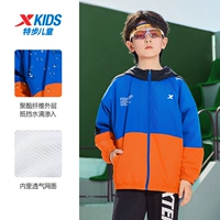 【Neli Net Cloth】 Royal Blue