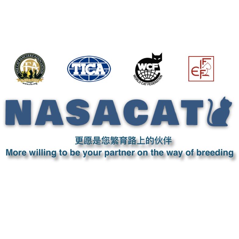 Certificate of Association Lost Recovery Procedure Application Correction Procedure