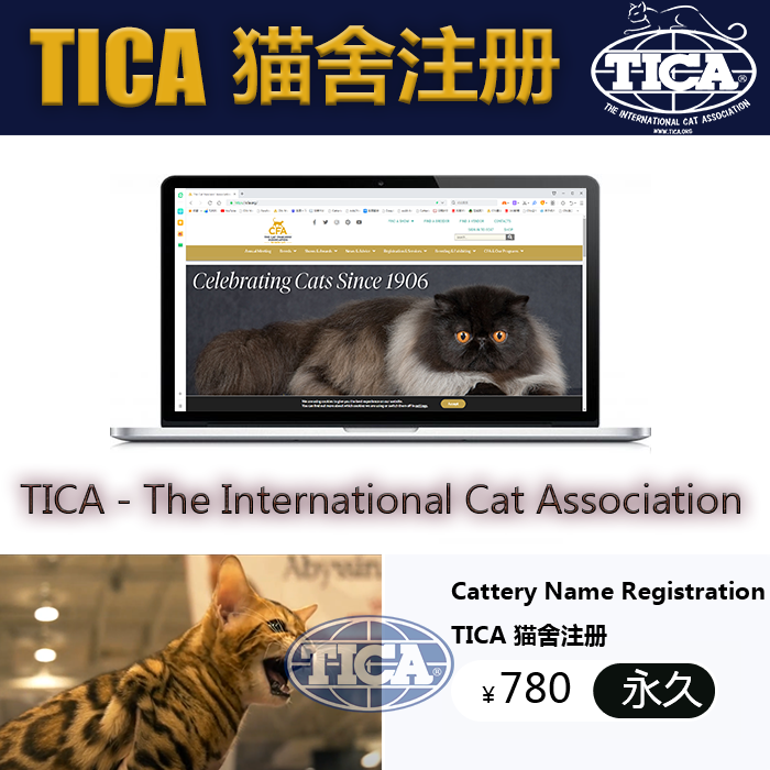 [USD 33.39] Registration TICA Certificate of Origin TICA Cat House Cat