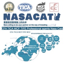 Registration CFA Pedigree certificate CFA Green paper cat certificate CFA Cat house cat certificate CFA certificate Fidelity registration