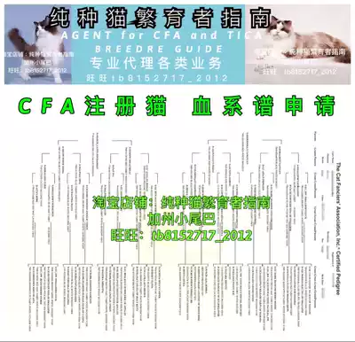 CFA cat certificate 5 generation genealogy CFA5 generation blood genealogy CFA5 genealogy blood CFA 5 Pedigree