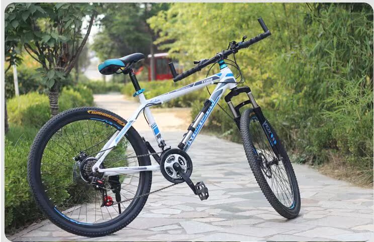 Pompe à vélo - Ref 2389498 Image 75