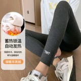 Осенние утепленные леггинсы, штаны, подходит для подростков