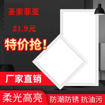 Integrated ceiling LED panel light for kitchen and bathroom