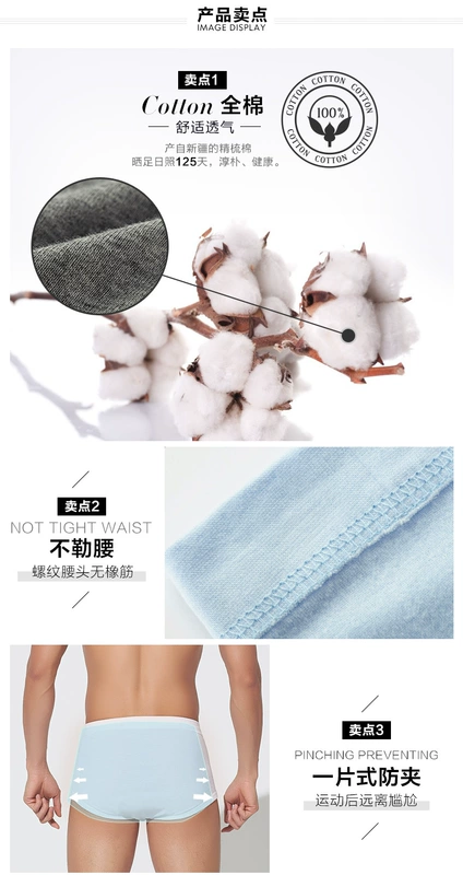 3 quần lót nam thoáng mát và quần short cotton cao eo kích thước lớn thoáng khí trung niên thanh niên đồ lót nam mùa hè