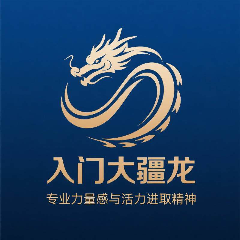 入门大疆龙