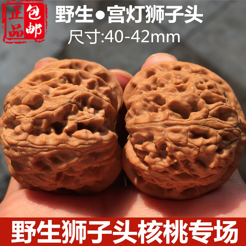 Old Tree Wild Minor Palace Lantern Lion Head Wen Play Walnut Extra Large Collection 42mm Golden Toad Walnut Hand Play Male