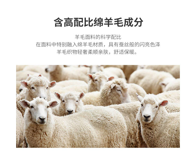 与狼共舞 男士 100%羊毛 圆领针织衫 图2