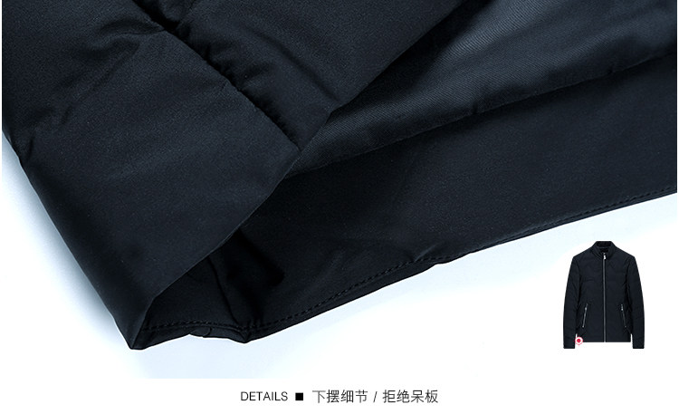 Blouson homme D WOLVES     - Ref 3122781 Image 24