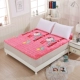 Flannel nệm ký túc xá sinh viên độc thân futon cửa hàng nệm trẻ 1,5m tatami 0,9 1,8 m gấp ấm - Nệm nệm kim cương