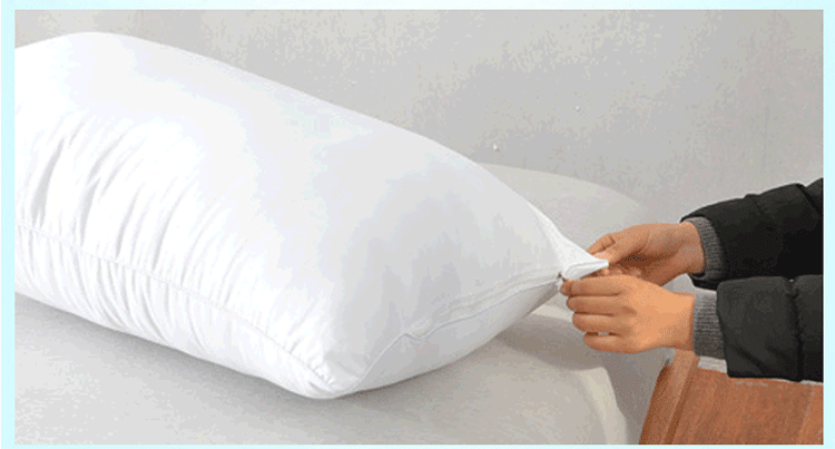 Một đôi gối chính hãng gối đầu