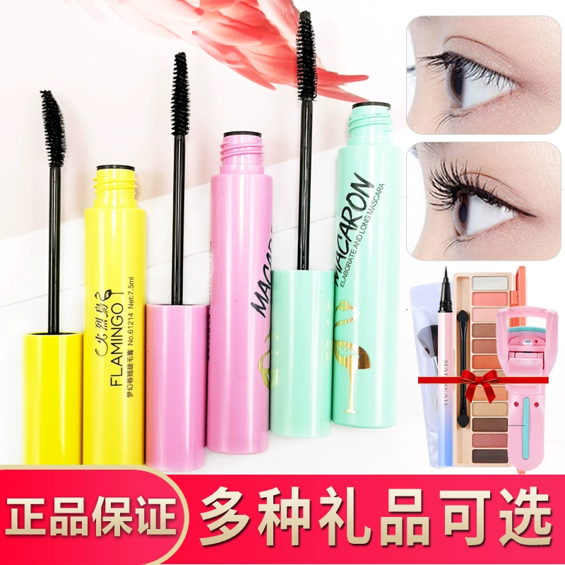 Net đỏ flamingo mascara nữ không thấm nước tự nhiên uốn cong không nở mã hóa kéo dài đầu cọ nhỏ chính hãng - Kem Mascara / Revitalash