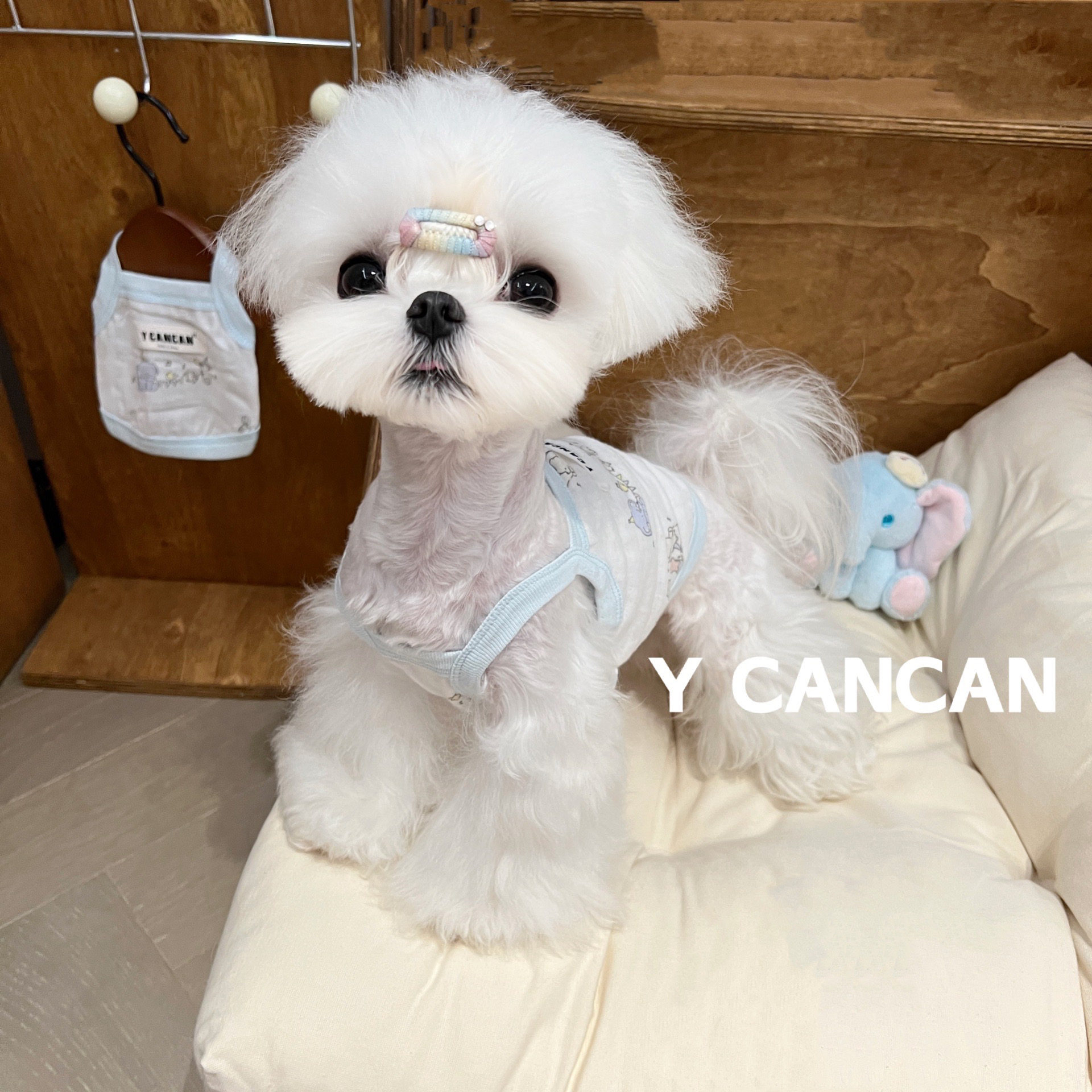 Лежанка для животных YCANCAN: Цветочное гнездо, кровать�klzzwxh:0127�принцесса для кошек�klzzwxh:0128��klzzwxh:0129��klzzwxh:0130�