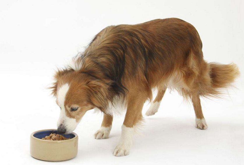 ��ʺ�ٻ��ڱ��ٹ�������?����Щ������!