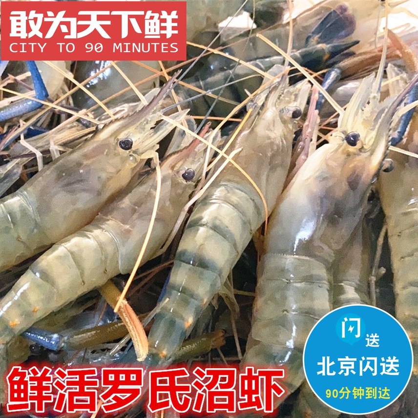 500g Beijing flashes fresh fresh live Roche shrimp Shrimp Money Shrimp Marsh Shrimp Live Shrimp Freshwater Shrimp