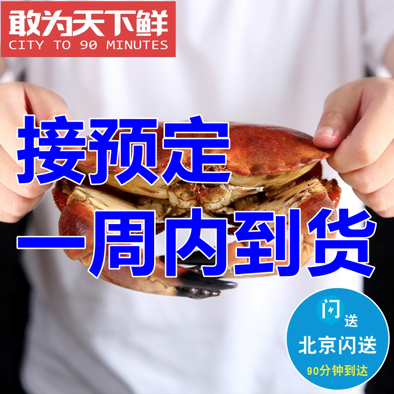 Beijing Flashes Alive Bread Crab UK Imports Gold Crab Great Crab Seafood Aquatic Products