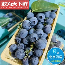 2 5 pounds. Flash delivery only in Beijing. Yunnan Zhiguan blueberries are fresh rich in fruit powder overflowing with floral fragrance and pure sweetness.