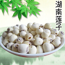 Yiguo Shangren Hunan lotus seeds dry goods to the core lotus seeds heartless white lotus seeds 500g specialty microdermabrasion hollow lotus seeds