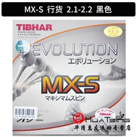 MX-S_Изменить Черный 2.1-2.2