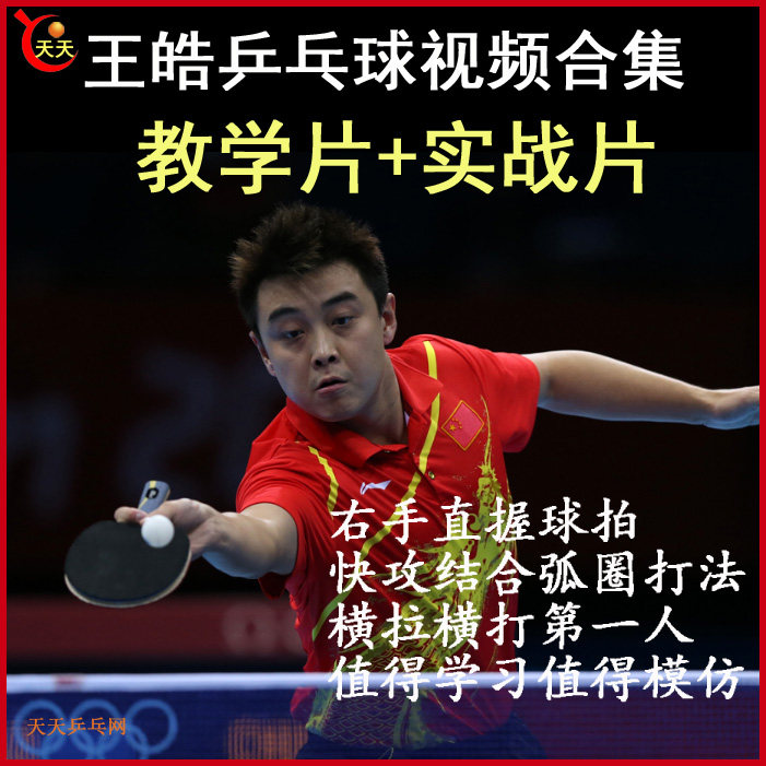 Wang Hao's table tennis teaching and practical video collection