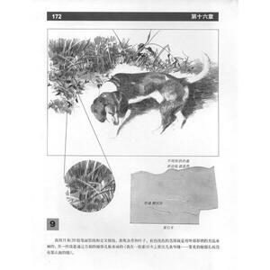 风景素描基础经典版 西方经典美术技法 菲尔·梅茨格 经典风景画静物实用素描技法 自学入门基础画法 上海人民美术出版社