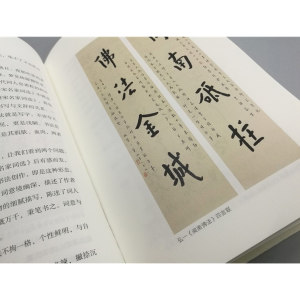 文人墨色 精装 近现代文人书法 张瑞田 海上题襟 张瑞田文人墨色近现代文人书法 艺术理论研究 上海书画出版社