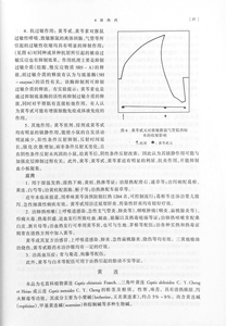 中药药理学 中医书籍 第五版 第5版 中药药理学(供中药专业用高等医药院校试用教材) 上海科学技术出版社