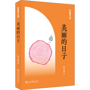 美丽的日子(巨鹿文库) 滕肖澜 著 上海书店出版社