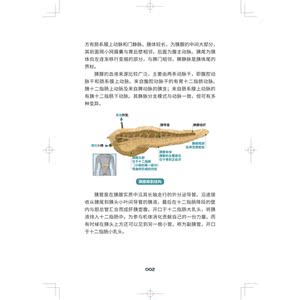 莫要谈胰色变:急性胰腺炎知多少 实用急性胰腺炎防治医学科普胰管扩张上海科学技术出版社内科学