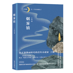 烟雾镇 丁颜著蓬勃而轻巧的90后青年小说家上海文艺出版社 中短篇小说集收录收获文学榜作品有粮之家边城藏地的故事背景