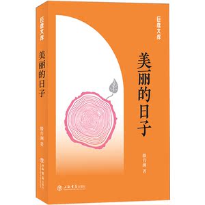美丽的日子(巨鹿文库) 滕肖澜 著 上海书店出版社
