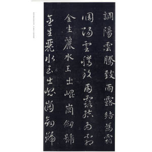 智永真草千字文碑 赵力光 编 书法学习经典教材 书法碑帖 篆刻字帖 正版图书籍 上海古籍 世纪出版