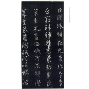 智永真草千字文碑 赵力光 编 书法学习经典教材 书法碑帖 篆刻字帖 正版图书籍 上海古籍 世纪出版