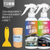T2