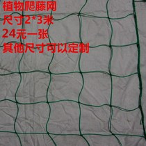 Plant climbing rattan net Nylon net protective net Vegetable and fruit climbing rattan net String fence protective net Woven container net